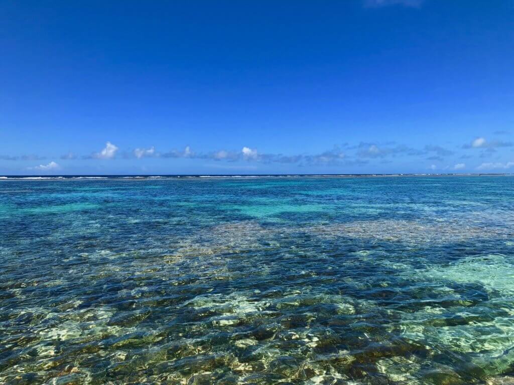 実録 沖縄の海でankerの防水ケースを徹底的に試してみた Iphone8plusでの水中撮影レビュー Kurasheep